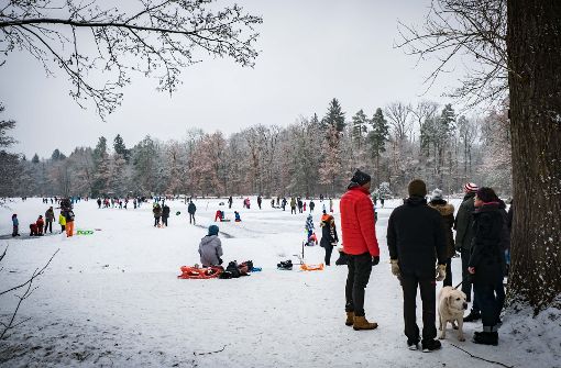 Eisläufer, Spaziergänger und Hockeyspieler wagten sich am Wochenende auf den zugefrorenen Pfaffensee Foto: Lichtgut/Achim Zweygarth