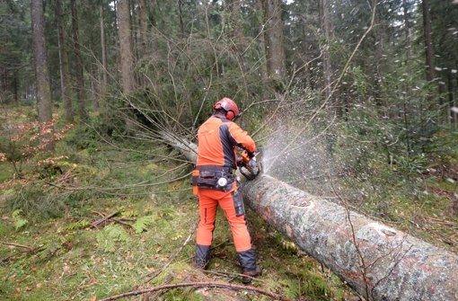 Forstwirte, wie dieser vom Landratsamtes Breisgau-Hochschwarzwald, dürfen künftig keine Dienstleistungen für Privatleute mehr erbringen – obwohl drei Viertel des Waldes im Land in Privatbesitz sind. Foto: dpa