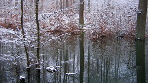 Lange hat der Winter in Stuttgart auf sich warten lassen. Foto: Leserfotograf duich_2406