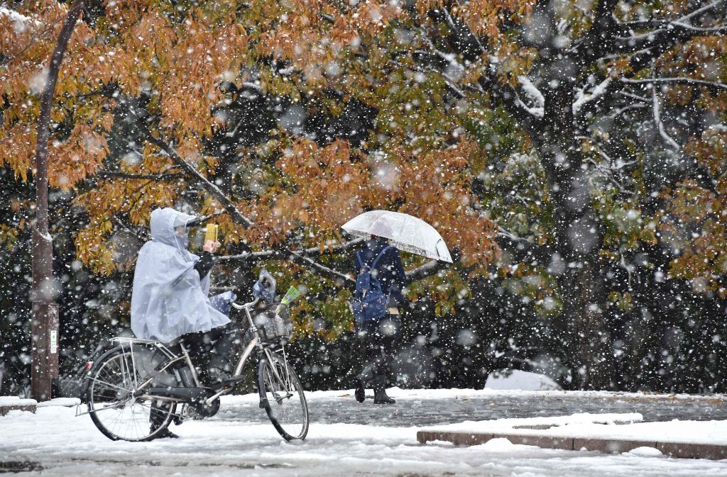 Schnee am 24. November in Tokio: Das hat es lange nicht mehr gegeben.