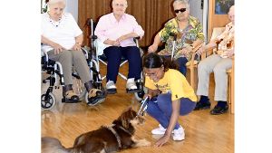 Hunde helfen Sehbehinderten, selbstbewusst zu werden