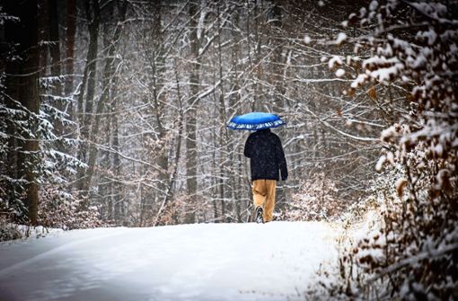 Ein Winterspaziergang ist jetzt wieder auf verschneiten Wegen möglich. Foto: Lichtgut/Achim Zweygarth
