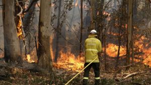 Die Buschbrände im Südosten von Australien sind besonders schlimm. Foto: dpa/Darren Pateman