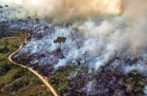 73 000 Waldbrände hat das brasilianische Weltraumforschungsinstitut INPE seit Januar gezählt. Im Vergleichszeitraum 2018 waren es rund 40 000. Foto: AFP