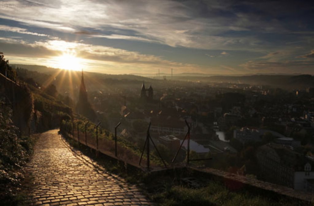 Blick aus den Weinbergen auf Esslingens Altstadt früh am Morgen.