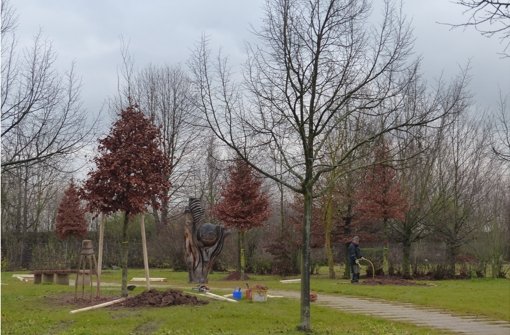 Weit fortgeschritten sind die Arbeiten für das Baumgrabstättenfeld auf dem Kleinfeldfriedhof. Foto: Gerhard Brien