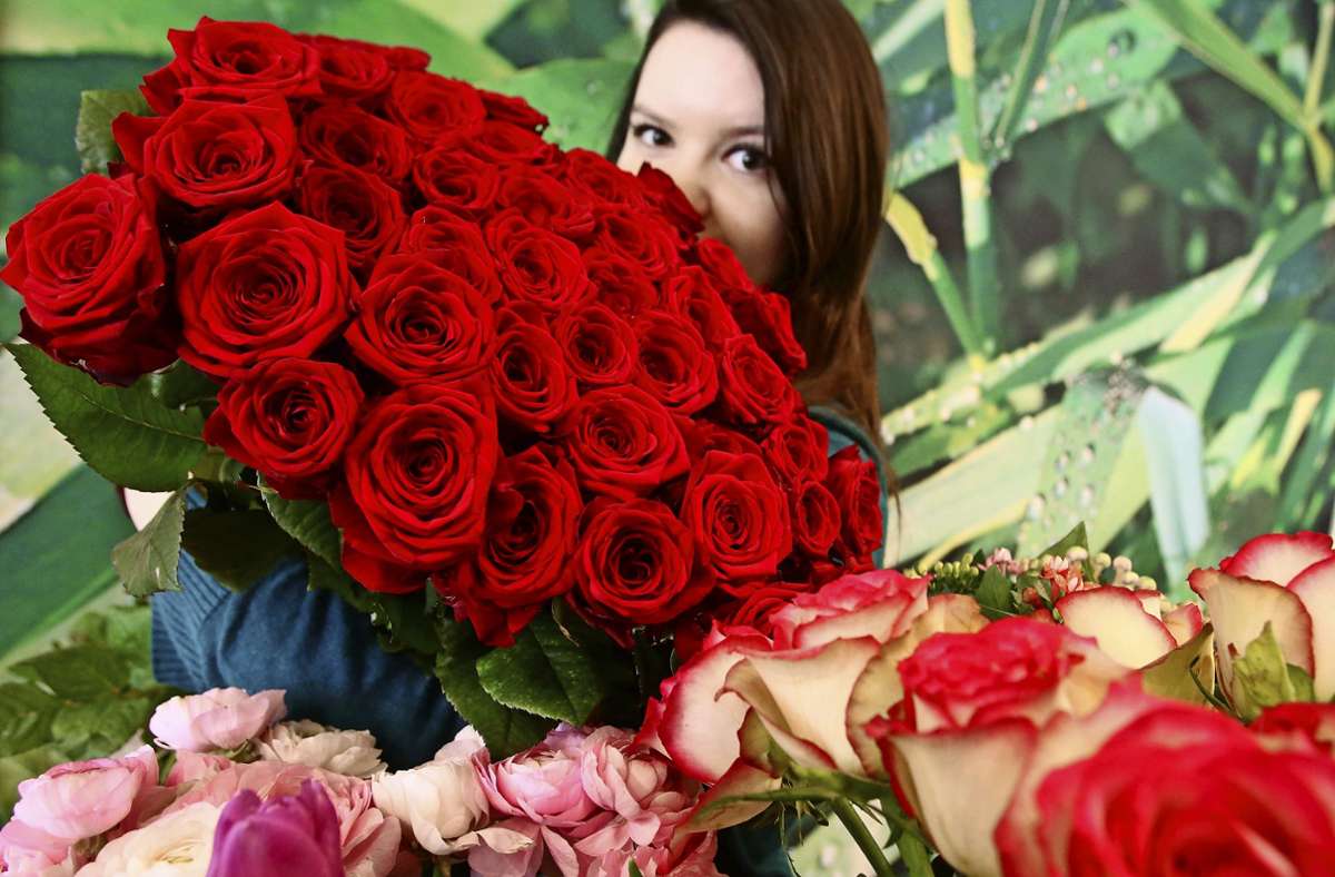 Am 14. Februar ist  die Rose traditionell ein Verkaufsschlager. Foto: picture alliance / dpa/Roland Weihrauch