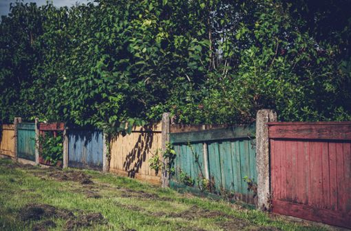Darf man sich über den Zaun des Nachbarn beschweren? In der Regel kann der Besitzer frei über seinen Zaun bestimmen – aber es gibt Ausnahmen. Foto: imago/YAY Images