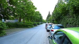 Parkplatznot ist Thema im Landtag