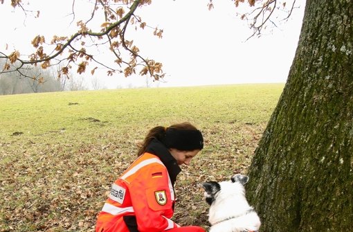 Gefunden! Rettungshund Leo hat beim Training eine Person aufgespürt. Foto: Jens Noll