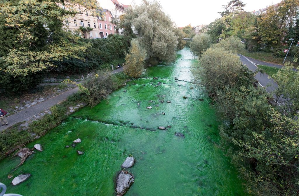 Das Wasser der Dreisam in Freiburg hatte am Samstag eine ungesunde Farbe.