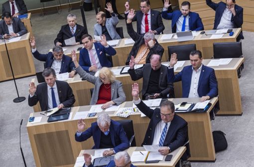 Die AfD-Fraktion im Landtag wird meist ausgegrenzt. Foto: IMAGO/Arnulf Hettrich/IMAGO/Arnulf Hettrich
