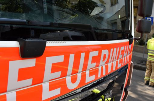 Die Feuerwehr wurde in den letzten Monaten sieben Mal nach Hertmannsweiler gerufen. Nun ist der Brandstifter wohl gefasst. (Symbolfoto) Foto: dpa-Zentralbild