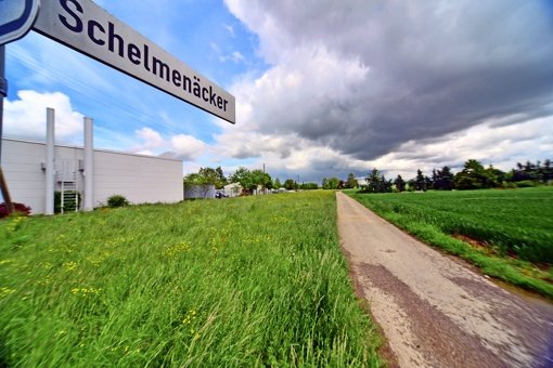 Auf 1,2 Hektar soll in den Schelmenäckern Platz für Gewerbe, Wohnen und die Max-Lang-Straße geschaffen werden. Foto: Norbert J. Leven