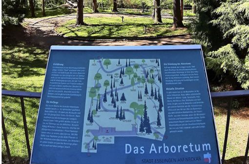 Eine  Tafel gibt Besuchern einen  Überblick über die verschiedenen Bäume auf dem Gelände. Foto:  