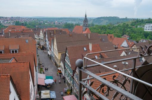 Über den Dächern von Marbach: Vom Torturm haben die Kursteilnehmer einen spektakulären Ausblick auf die  Altstadtkulisse Foto: Barbara / Esser