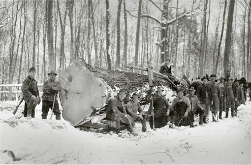 1937: Waldenbucher Holzfällarbeiten im Winter. Foto: E. Lohmann