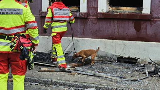 Ein Spürhund sucht in den Trümmern des Essener Wohnhauses. Foto: dpa/Markus Gayk