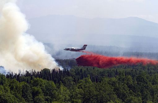 Ein Conair AVRO RJ85 AT-Löschflugzeug lässt Löschmittel über einem in der Nähe von Montana Creek brennenden Wald ab. In der Arktis und anschließenden Regionen toben Forschern zufolge Waldbrände in einer bislang nicht gemessenen Zahl. Foto:  