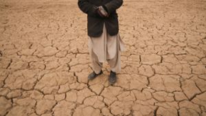 Extreme Dürre in Europa alle 20 Jahre zu erwarten