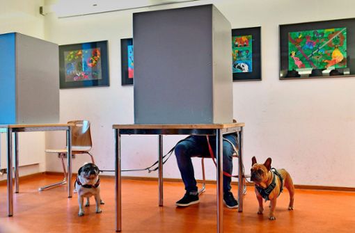 Landtagswahl in Thüringen  im Oktober 2019: Ein Wähler mit seinen beiden Hunden gibt in der Wahlkabine in einem Wahllokal seine Stimme ab. Foto: dpa/Martin Schutt