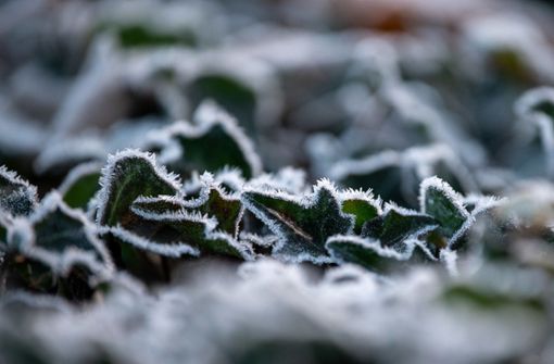 Das kalte und sonnige Winterwetter hat auch seine schönen Seiten. Foto: dpa/Sebastian Gollnow
