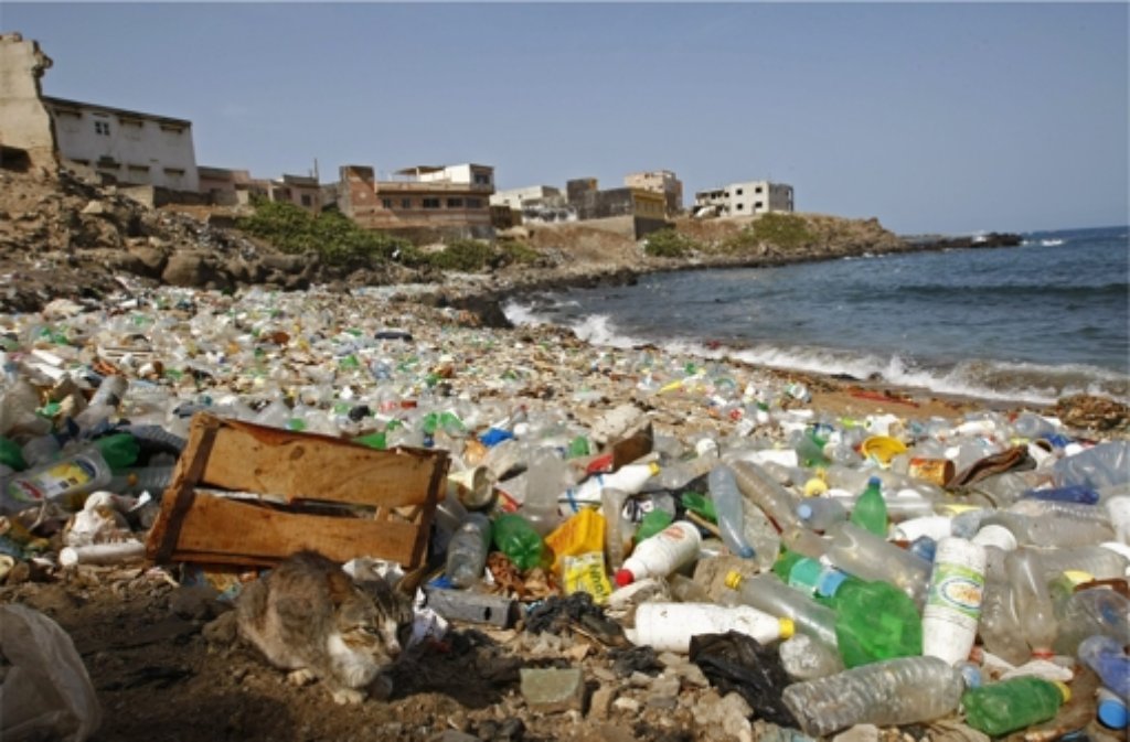 Plastik Müll Im Ozean Die Weltmeere Sind Zu Müllkippen Geworden 
