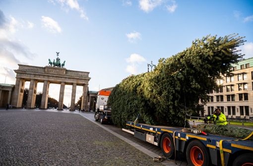 Am Brandenburger Tor ist am Montag der Weihnachtsbaum aufgestellt worden – welche Corona-Regeln für die Feiertage gelten, wird am Mittwoch entschieden. Foto: dpa/Christophe Gateau