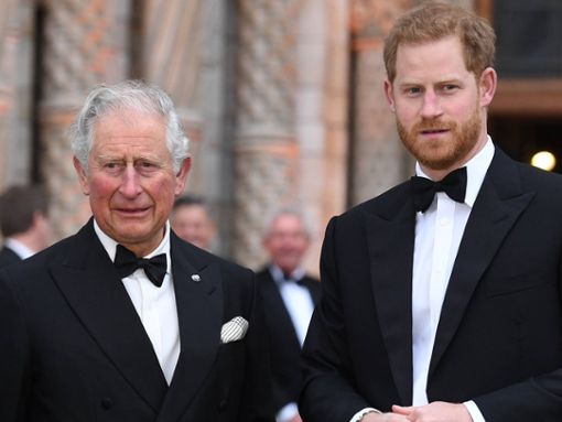 Darf Prinz Harry noch länger als Vertretung seines Vaters König Charles fungieren? Foto: imago images/PA Images