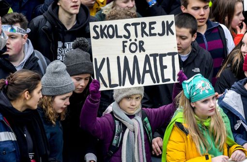 Greta Thunberg hat am Freitag erneut an einem Klimastreik in Hamburg teilgenommen. Foto: dpa/Axel Heimken