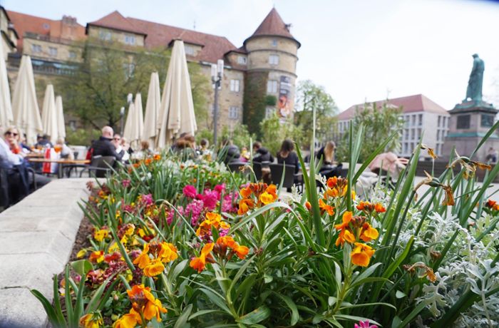 Frühlingserwachen in Stuttgart: Diese Fotos machen Lust auf den Sommer