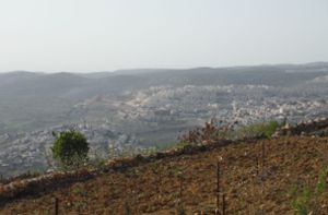Übermächtiger Nachbar: Links das Palästinenserdorf Nahalin, rechts daneben die von orthodoxen israelischen Siedlern gegründete Stadt Betar Illit, im Vordergrund der Hügel der Familie Nassar Foto: Rieger