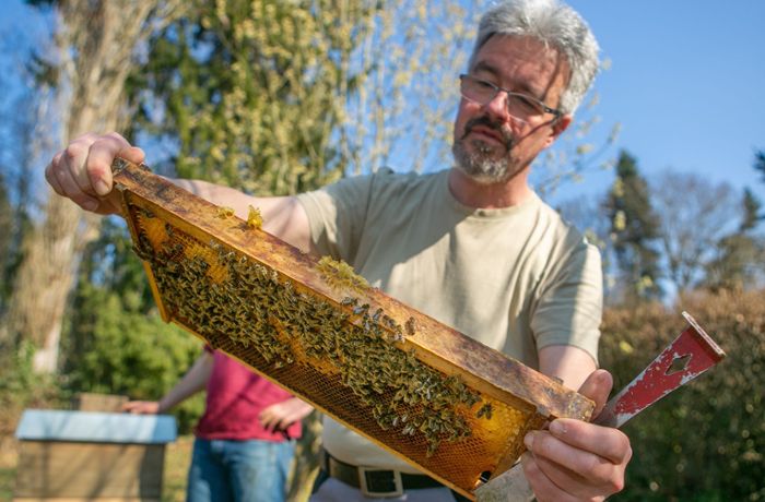 Esslinger Imker: Schlechteste Honigernte seit fünf Jahren