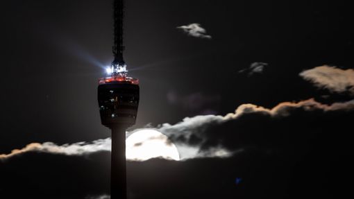 Stuttgarter Fernsehturm: Turm der Türme Foto: /Martin Gruber