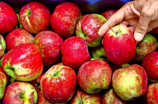 Der  Gravensteiner gehört zu den Apfelsorten, die von vielen Allergikern besser vertragen werden. Foto: dpa