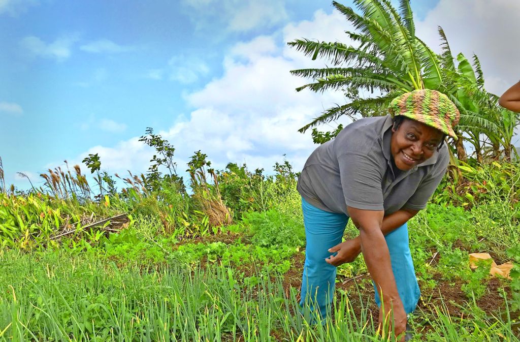 Die alleinerziehende Bäuerin Agnes freut sich über Urlauber, die ihr bei Feldarbeiten helfen.