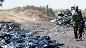 Die Absturzstelle von Flug MH17 im Osten der Ukraine. Foto: EPA