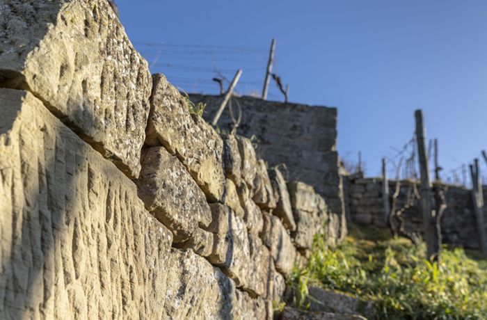 Rems-Murr-Jubiläum an der Yburg in Kernen: Die Weinbergmauern müssen bleiben