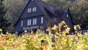 Die Zukunft des Waldschlössles auf dem Fellbacher Kappelberg ist gefunden: Das Ferienwaldheim wird voraussichtlich ab 2021 wieder auf dem Kappelberg stattfinden. Foto: Patricia Sigerist