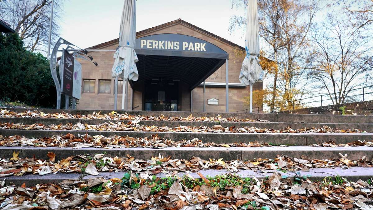 Fotovoltaik auf dem Perkins Park?: Behörde   stellt sich bei Solaranlage quer