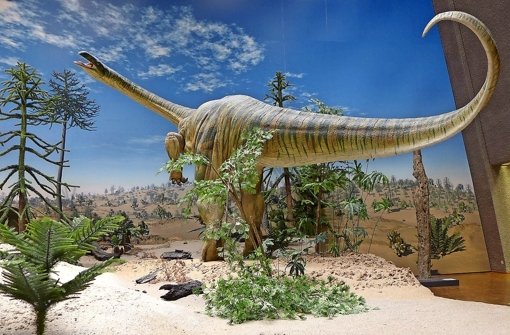 Der Degerlocher Dinosaurier Gressly beeindruckt durch seine Größe Foto: Naturkundemuseum