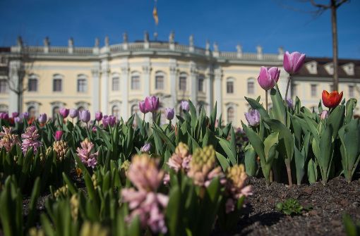 Tulpen, Narzissen und Hyazinthen bilden die bunte Kulisse für das Residenzschloss in Ludwigsburg. Foto: dpa