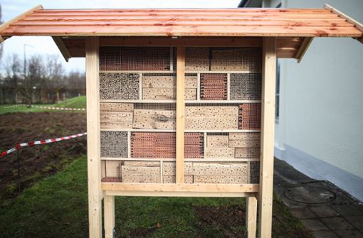 Sollten Insektenhotels lieber im Außenbereich stehen, damit sich Mensch und Tier nicht in die Quere kommen? Foto: Lichtgut/Christoph Schmidt
