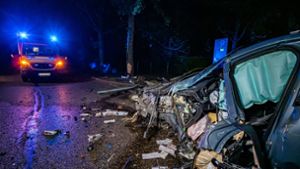 Unfall in Stuttgart-Sillenbuch: Alkoholisierter 40-Jähriger flieht vor Polizeikontrolle und prallt gegen Baum