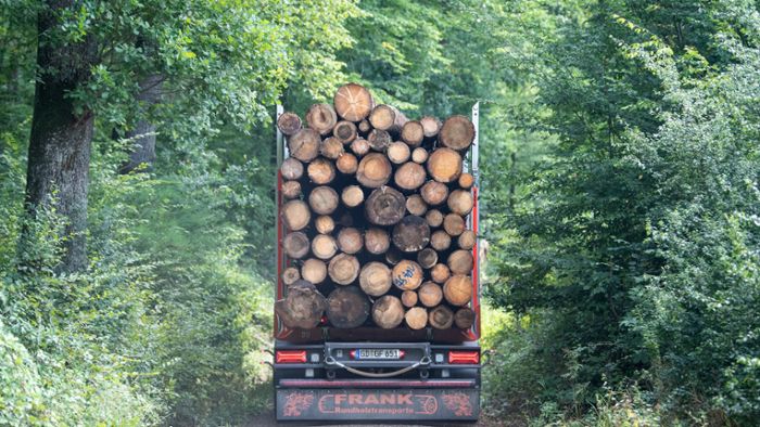 Kompromiss im Streit um besonders schwere Holztransporte
