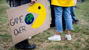 Am Freitag wird in Esslingen wieder für Klimaschutz demonstriert. Foto: Horst Rudel