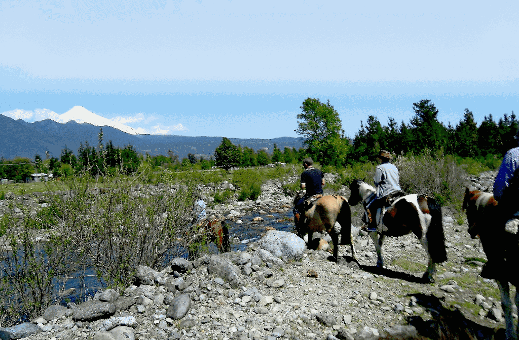 Durch die Schweiz Chiles: Auf dem Rücken von Pferden lässt sich die traumhaft schöne Landschaft bei Pucón intensiv erleben. Von fern grüßt der schneebedeckte Gipfel des Vulkans Villarrica. Foto: Eichmüller