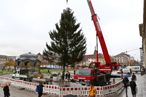 Und hoch mit dem Baum! Die 23 Meter hohe Fichte für den Stuttgarter Weihnachtsmarkt wurde am Mittwochvormittag aufgestellt. Klicken Sie sich durch die Bildergalerie. Foto: Benjamin Beytekin