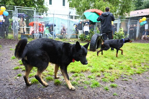 Trotz des anhaltenden Regens kamen am Samstag viele, um sich für den Erhalt des Tierheims in Stuttgart-Botnang einzusetzen. Foto: Benjamin Beytekin