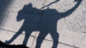 Eine 20-Jährige ist am Samstag in Esslingen von einem Hund gebissen worden. Foto: dpa